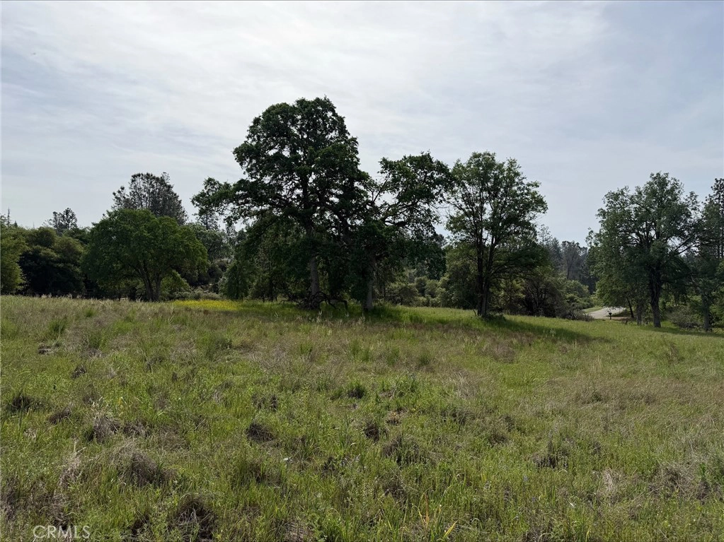 5 Mountain Springs Rd, North Fork, CA 93643 photo 7