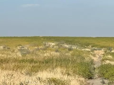 123 Poso Canal, Corcoran, CA 93212