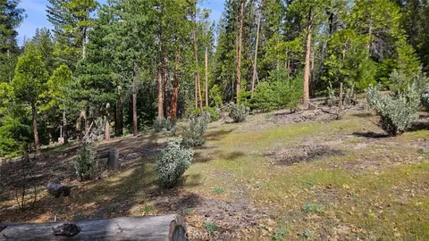 Exterior - 46336 Silvertip, North Fork, CA 93643 photo 39 of 42