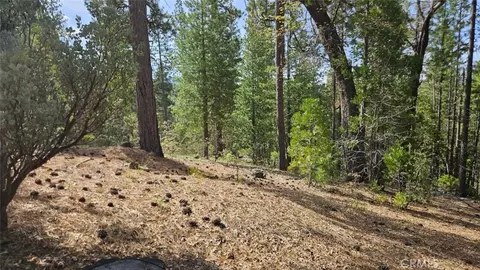 Exterior - 46336 Silvertip, North Fork, CA 93643 photo 42 of 42