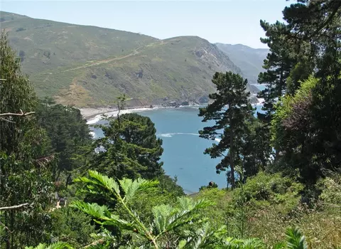 47 Charlottes Way, Sausalito, CA 94965