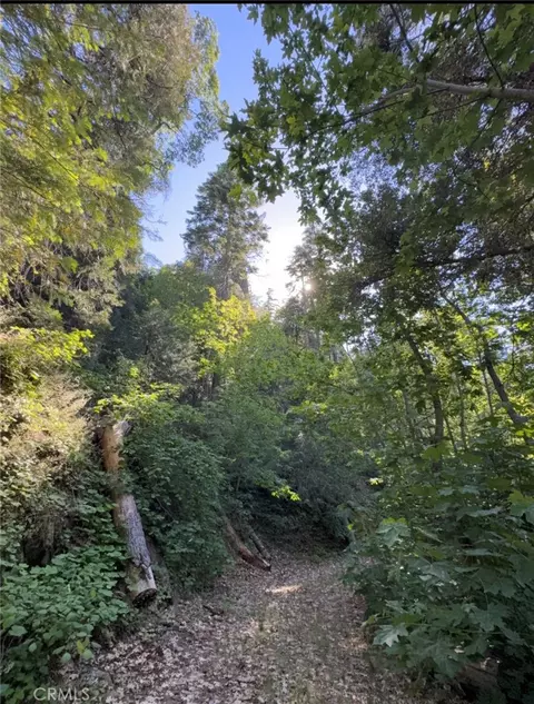 Other - 0 Ca-245, Miramonte, CA 93641 photo 24 of 32