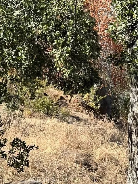 0 Thunderhill, Squaw Valley, CA 93675 photo 3