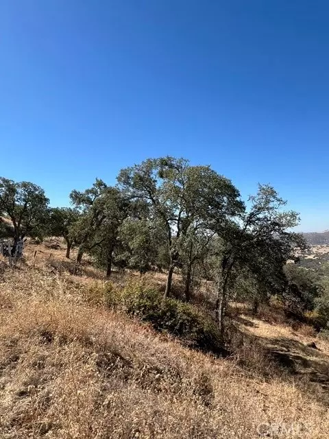 0 Thunderhill, Squaw Valley, CA 93675 photo 2