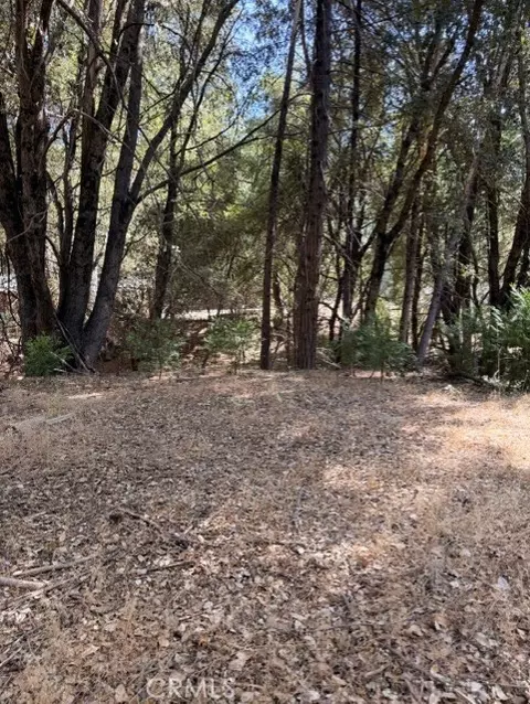 0 S Cedar Rdg, Oakhurst, CA 93644 photo 3