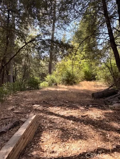 0 S Cedar Rdg, Oakhurst, CA 93644 photo 4