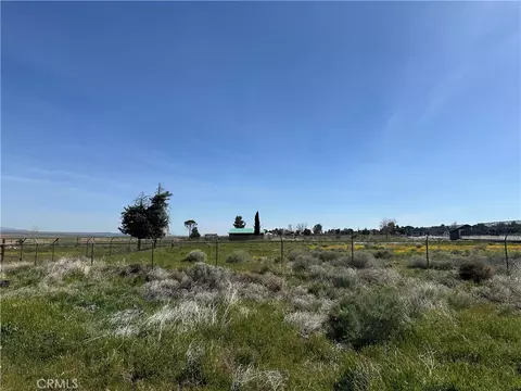 49818 290th W, Lancaster, CA 93536 photo 5