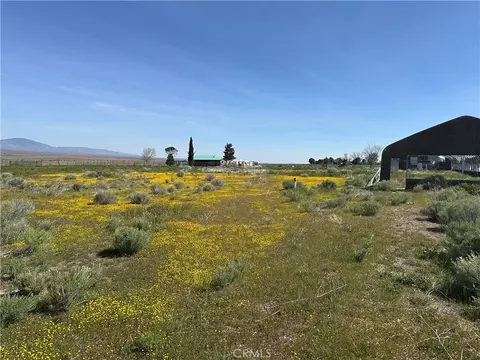 49818 290th W, Lancaster, CA 93536 photo 7