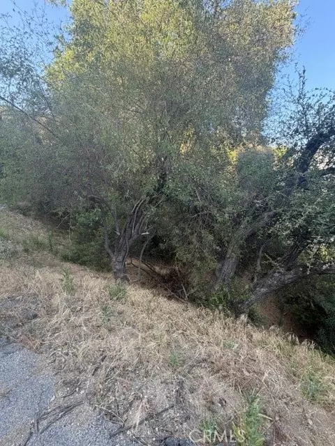 0 Kennington Dr, Glendale, CA 91206 photo 9