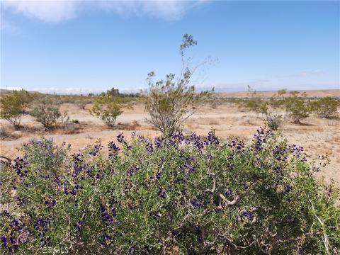 5 On Silver Mtn Rd, Oro Grande, CA 92368