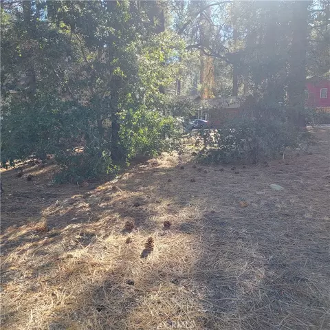0 Ross, Wrightwood, CA 92397 photo 11
