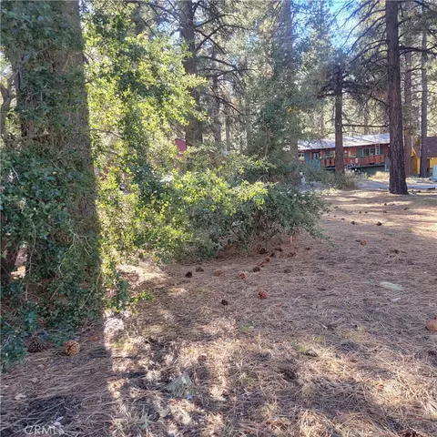 0 Ross, Wrightwood, CA 92397 photo 9