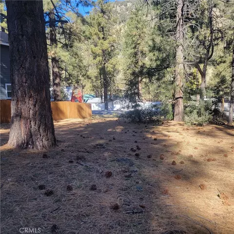0 Ross, Wrightwood, CA 92397 photo 10