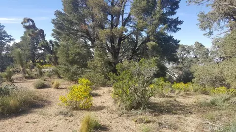 0 Scenic Creek Dr, Wrightwood, CA 92372
