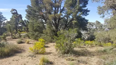 0 Scenic Creek Dr, Wrightwood, CA 92372