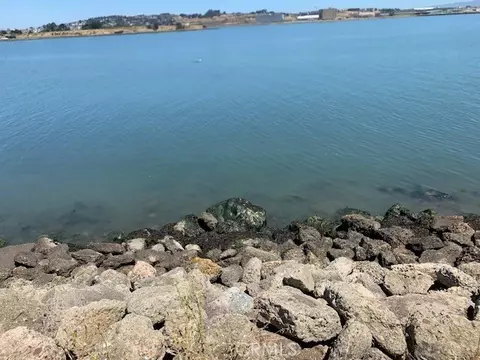 0 Hollister Ave, San Francisco, CA 94124