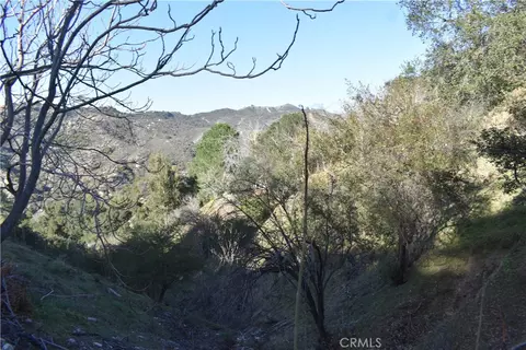 29935 Hickory Dr, Cedar Glen, CA 92321