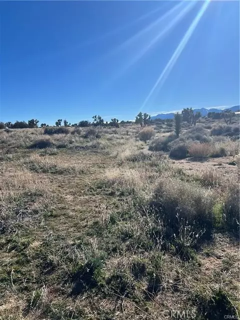 0 Tricobble Ct, Phelan, CA 92371