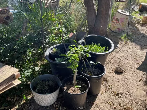 51820 Date Ave, Cabazon, CA 92230 photo 5