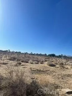 0 Pine Tree Rd, Pinon Hills, CA 92372