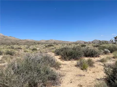 15310023 Kelso Valley Rd, Weldon, CA 93283 photo 5