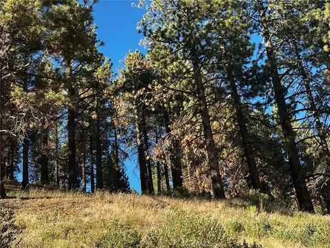 1 Conway Dr, Running Springs, CA 92382