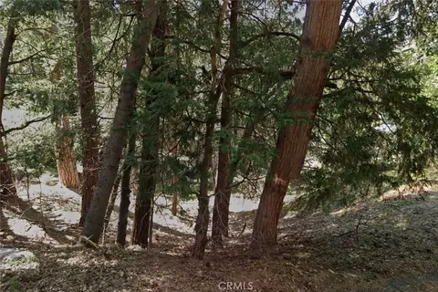 1 Crest Forest Dr, Cedarpines Park, CA 92322