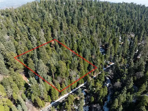 29629 Little Bear Creek Rd, Cedar Glen, CA 92321