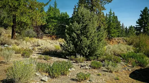 0 Zermatt Dr, Wrightwood, CA 92397 photo 14