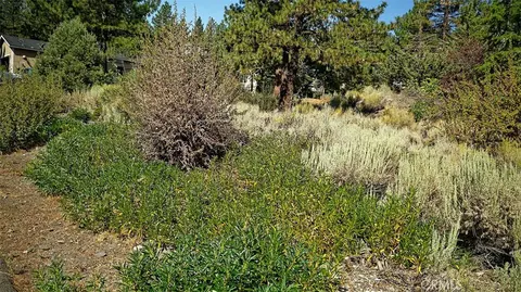 0 Zermatt Dr, Wrightwood, CA 92397 photo 15