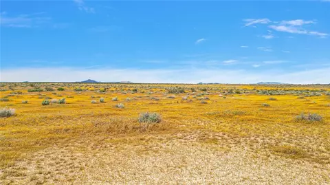 49019133 Powerline Rd, Kramer Junction, CA 93516 photo 9