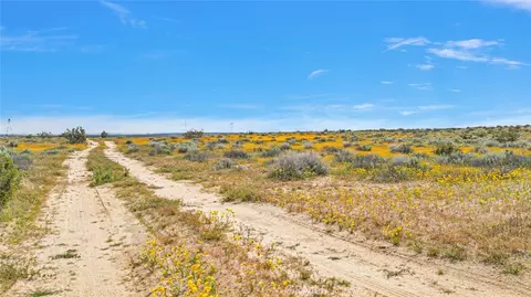 49019133 Powerline Rd, Kramer Junction, CA 93516 photo 4