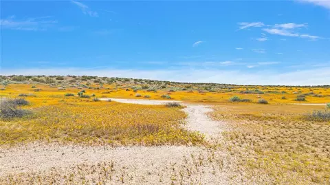 49019133 Powerline Rd, Kramer Junction, CA 93516 photo 6