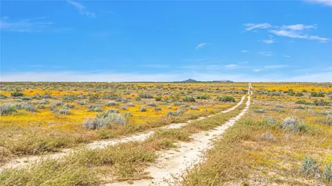 49019133 Powerline Rd, Kramer Junction, CA 93516 photo 8