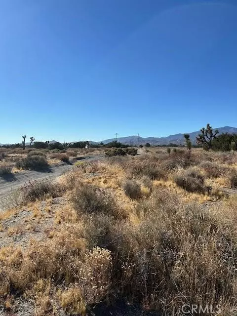 0 Calaveras, Pinon Hills, CA 92372