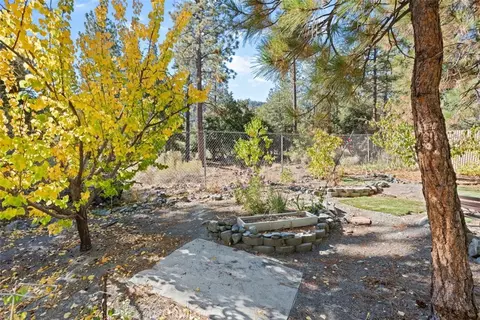 Exterior - 1585 Linnet, Wrightwood, CA 92397 photo 13 of 13