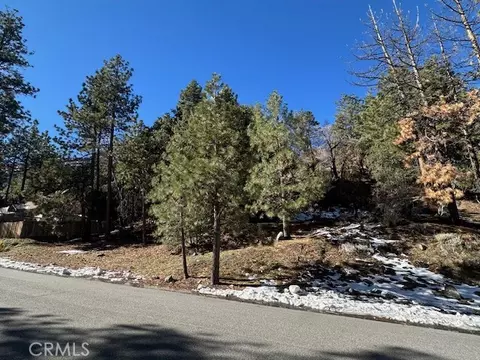 0 Flume Cyn, Wrightwood, CA 92397 photo 2