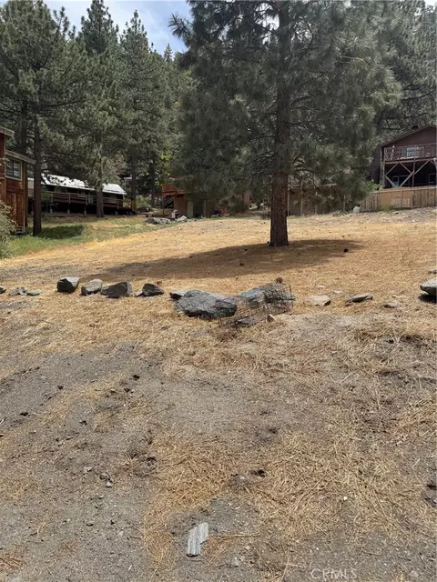 999 Buckthorn Rd, Wrightwood, CA 92397
