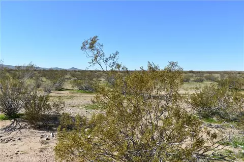25 Frontier, Helendale, CA 92342 photo 5