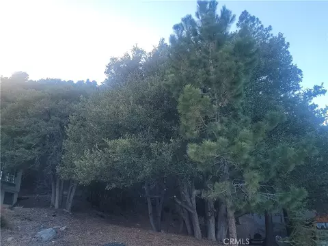 0 Desert Vw, Wrightwood, CA 92397 photo 5