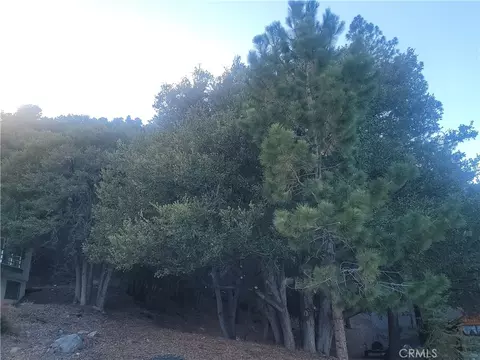 0 Desert Vw, Wrightwood, CA 92397 photo 5