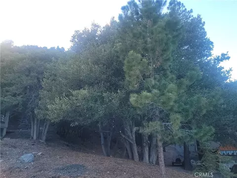 0 Desert Vw, Wrightwood, CA 92397 photo 4