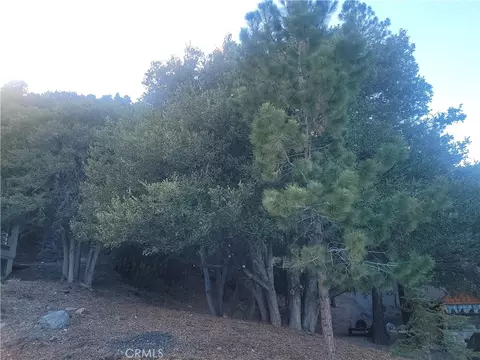 0 Desert Vw, Wrightwood, CA 92397 photo 4