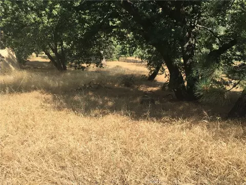 30481 Live Oak, Running Springs, CA 92382