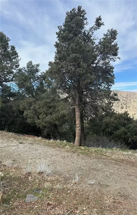 0 Orchard, Wrightwood, CA 92397 photo 2