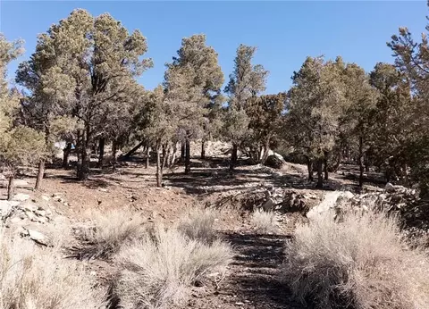 0 Lakeview Dr, Big Bear City, CA 92314