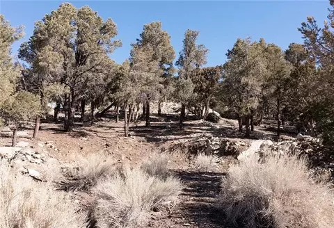 0 Lakeview Dr, Big Bear City, CA 92314
