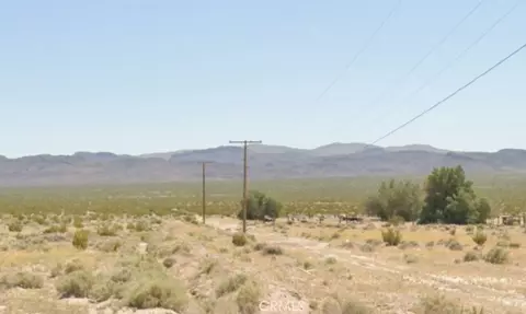 29800 Madrona Rd, Newberry Springs, CA 92365