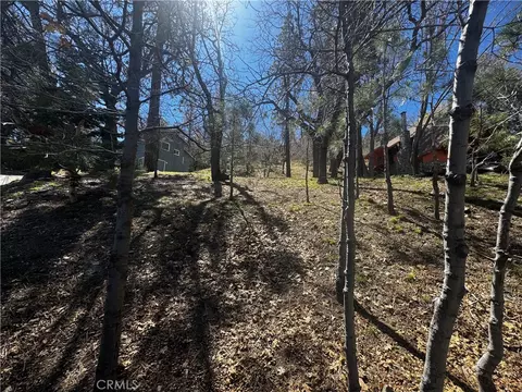 0 Oriole Rd, Wrightwood, CA 92397 photo 2