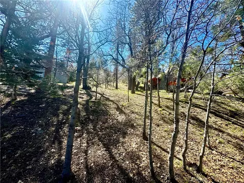0 Oriole Rd, Wrightwood, CA 92397 photo 14
